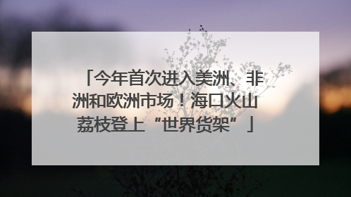 今年首次进入美洲、非洲和欧洲市场！海口火山荔枝登上“世界货架”