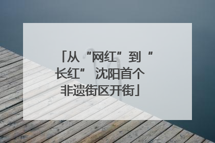 从“网红”到“长红” 沈阳首个非遗街区开街