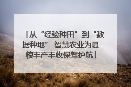 从“经验种田”到“数据种地” 智慧农业为夏粮丰产丰收保驾护航
