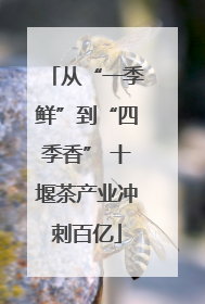 从“一季鲜”到“四季香” 十堰茶产业冲刺百亿