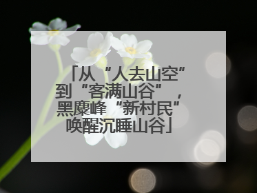 从“人去山空”到“客满山谷”，黑麋峰“新村民”唤醒沉睡山谷