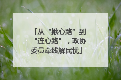 从“揪心路”到“连心路”，政协委员牵线解民忧