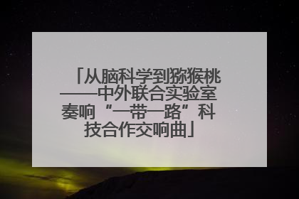从脑科学到猕猴桃——中外联合实验室奏响“一带一路”科技合作交响曲