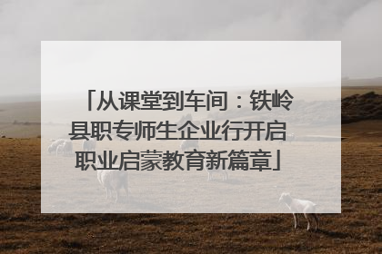 从课堂到车间：铁岭县职专师生企业行开启职业启蒙教育新篇章