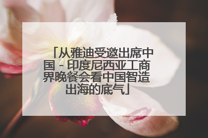 从雅迪受邀出席中国－印度尼西亚工商界晚餐会看中国智造出海的底气