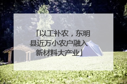 以工补农，东明县近万小农户融入新材料大产业