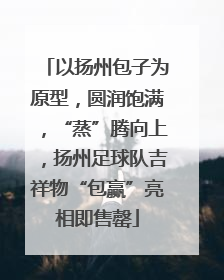 以扬州包子为原型，圆润饱满，“蒸”腾向上，扬州足球队吉祥物“包赢”亮相即售罄