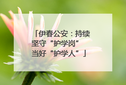 伊春公安：持续坚守“护学岗” 当好“护学人”