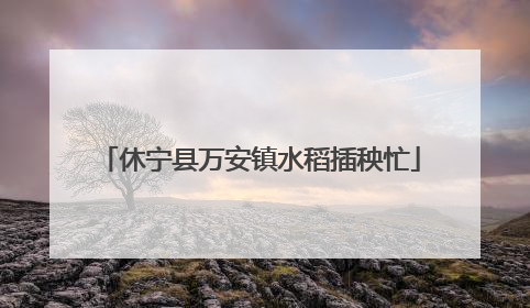 休宁县万安镇水稻插秧忙