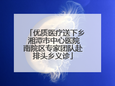 优质医疗送下乡 湘潭市中心医院南院区专家团队赴排头乡义诊