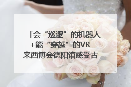 会“巡逻”的机器人+能“穿越”的VR 来西博会德阳馆感受古蜀文明与现代智造的时空对话｜西博视界