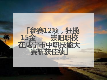 参赛12项，狂揽15金——崇阳职校在咸宁市中职技能大赛斩获佳绩