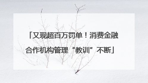 又现超百万罚单！消费金融合作机构管理“教训”不断