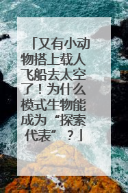 又有小动物搭上载人飞船去太空了！为什么模式生物能成为“探索代表”？