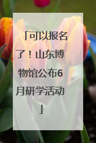 可以报名了！山东博物馆公布6月研学活动