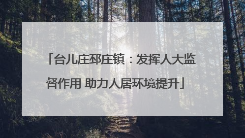 台儿庄邳庄镇：发挥人大监督作用 助力人居环境提升