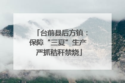 台前县后方镇：保障“三夏”生产 严抓秸秆禁烧