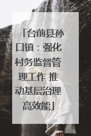 台前县孙口镇：强化村务监督管理工作 推动基层治理高效能