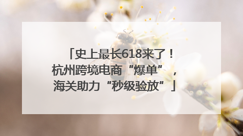 史上最长618来了！杭州跨境电商“爆单”，海关助力“秒级验放”