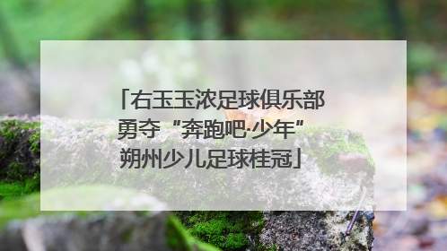右玉玉浓足球俱乐部勇夺“奔跑吧·少年”朔州少儿足球桂冠