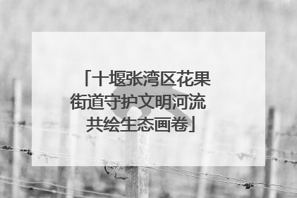 十堰张湾区花果街道守护文明河流 共绘生态画卷