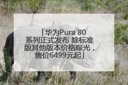 华为Pura 80系列正式发布 除标准版其他版本价格曝光，售价6499元起