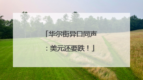 华尔街异口同声：美元还要跌！