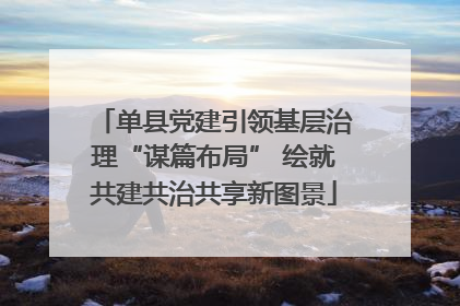 单县党建引领基层治理“谋篇布局” 绘就共建共治共享新图景