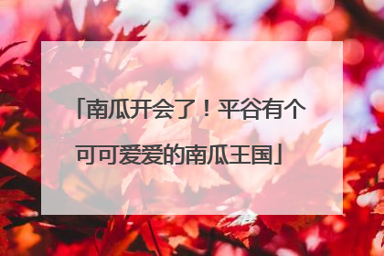 南瓜开会了！平谷有个可可爱爱的南瓜王国