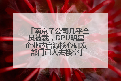 南京子公司几乎全员被裁，DPU明星企业芯启源核心研发部门已人去楼空