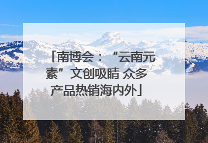 南博会：“云南元素”文创吸睛 众多产品热销海内外