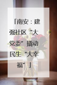 南安：建强社区“大党委”撬动民生“大幸福”