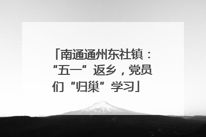 南通通州东社镇：“五一”返乡，党员们“归巢”学习
