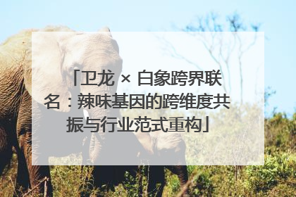 卫龙 × 白象跨界联名：辣味基因的跨维度共振与行业范式重构