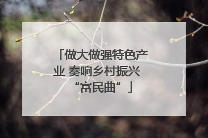 做大做强特色产业 奏响乡村振兴“富民曲”