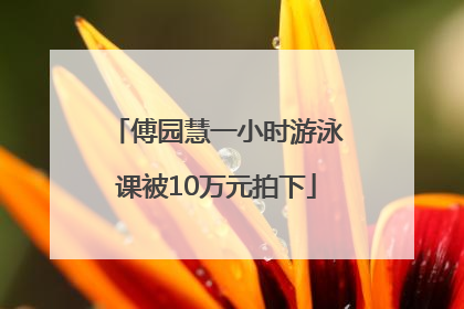 傅园慧一小时游泳课被10万元拍下