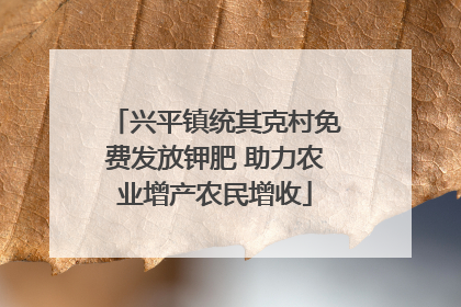 兴平镇统其克村免费发放钾肥 助力农业增产农民增收