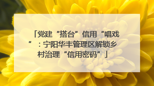 党建“搭台”信用“唱戏”：宁阳华丰管理区解锁乡村治理“信用密码”