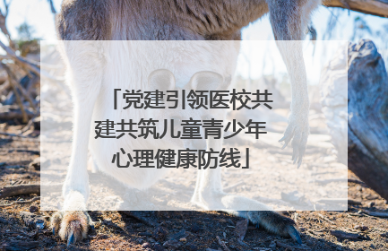 党建引领医校共建共筑儿童青少年心理健康防线