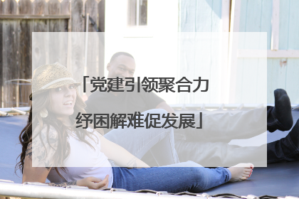 党建引领聚合力 纾困解难促发展