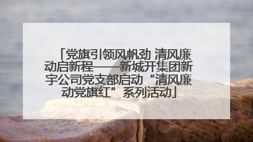 党旗引领风帆劲 清风廉动启新程——新城开集团新宇公司党支部启动“清风廉动党旗红”系列活动