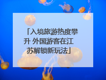 入境旅游热度攀升 外国游客在江苏解锁新玩法