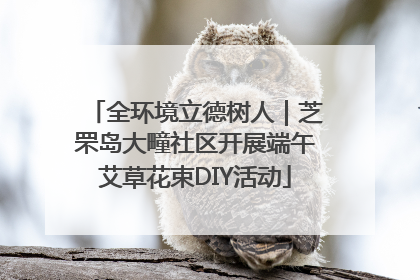 全环境立德树人｜芝罘岛大疃社区开展端午艾草花束DIY活动