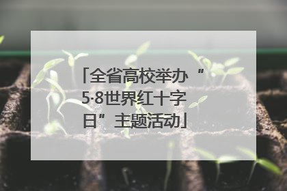 全省高校举办“5·8世界红十字日”主题活动