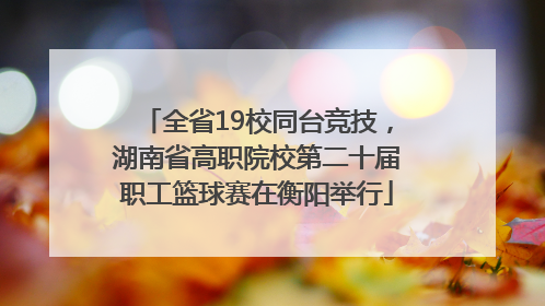 全省19校同台竞技，湖南省高职院校第二十届职工篮球赛在衡阳举行