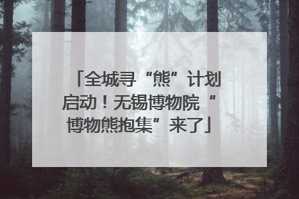 全城寻“熊”计划启动！无锡博物院“博物熊抱集”来了