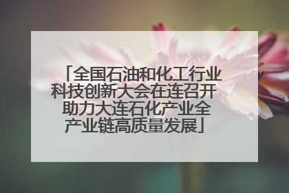 全国石油和化工行业科技创新大会在连召开 助力大连石化产业全产业链高质量发展
