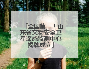 全国第一！山东省文物安全卫星遥感监测中心揭牌成立