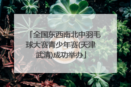 全国东西南北中羽毛球大赛青少年赛(天津武清)成功举办