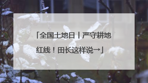全国土地日丨严守耕地红线！田长这样说→
